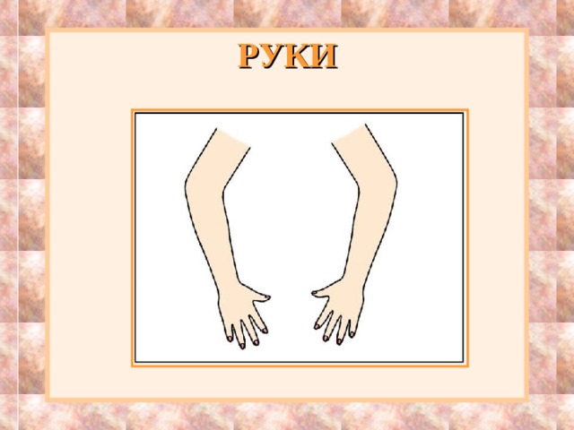 РУКИ 