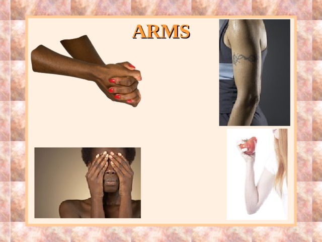 ARMS 