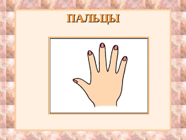 ПАЛЬЦЫ 