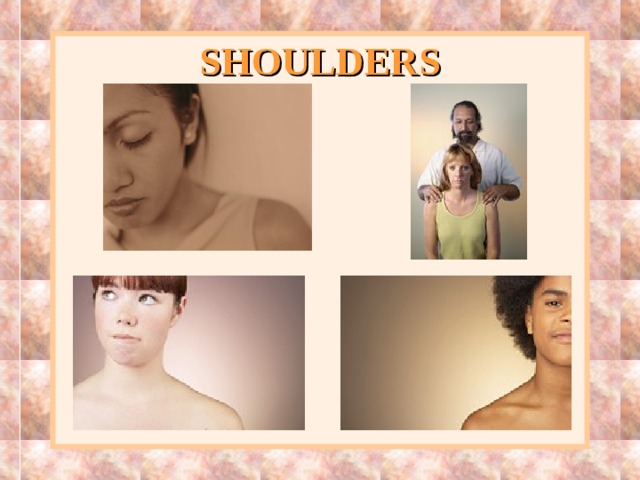 SHOULDERS 