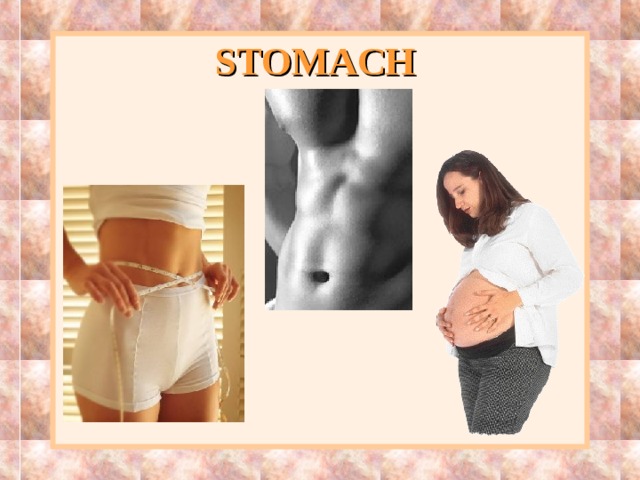 STOMACH 