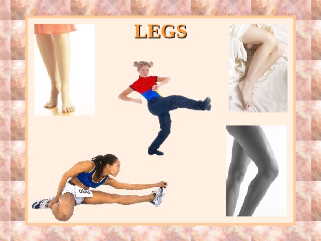 LEGS 