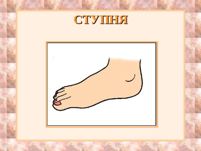 СТУПНЯ 