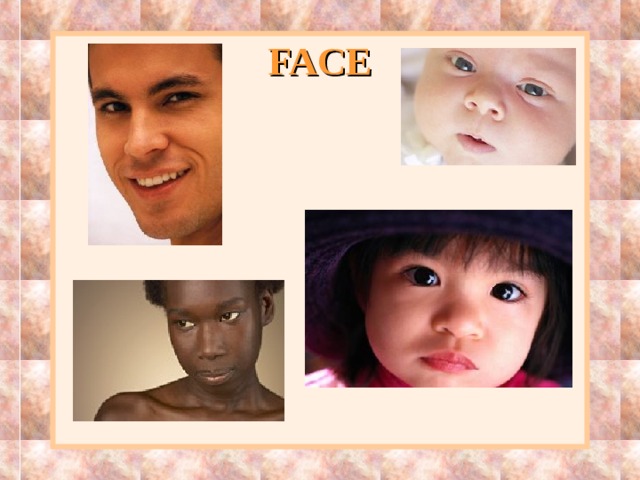 FACE 