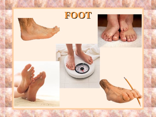 FOOT 