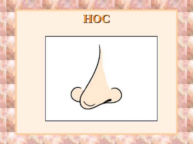 НОС 