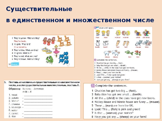 Существительные  в единственном и множественном числе 