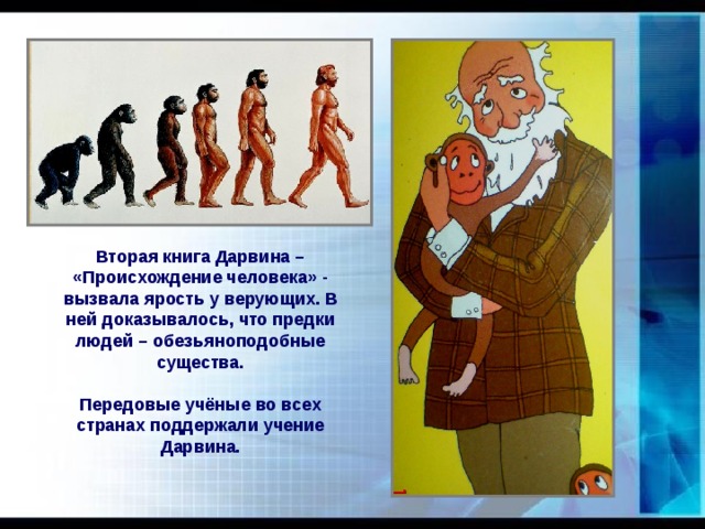 Вторая книга Дарвина – «Происхождение человека» - вызвала ярость у верующих. В ней доказывалось, что предки людей – обезьяноподобные существа. Передовые учёные во всех странах поддержали учение Дарвина. 