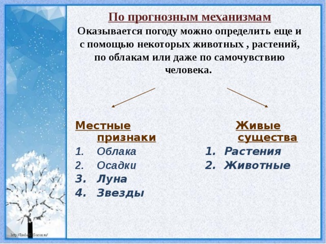 По прогнозным механизмам  Оказывается погоду можно определить еще и с помощью некоторых животных , растений, по облакам или даже по самочувствию человека. Местные признаки Живые существа Облака Осадки Луна Звезды Растения Животные 