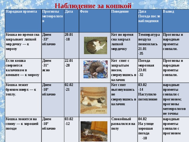 Проект прогноз погоды по народным приметам