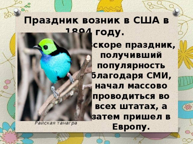 Праздник возник в США в 1894 году. Вскоре праздник, получивший популярность благодаря СМИ, начал массово проводиться во всех штатах, а затем пришел в Европу. Райская танагра 