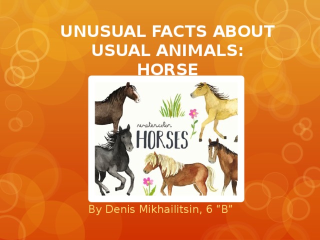 UNUSUAL FACTS ABOUT USUAL ANIMALS:  HORSE      By Denis Mikhailitsin, 6 “B” 