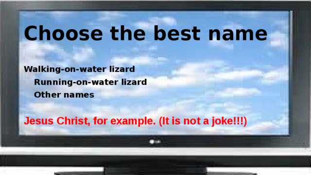 Choose the best name Walking-on-water lizard    Running-on-water lizard       Other names Jesus Christ, for example. (It is not a joke!!!) 