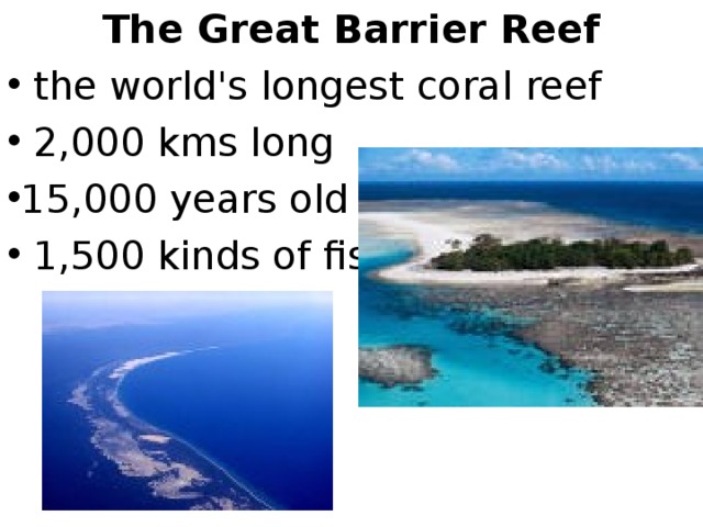 The Great Barrier Reef  the world's longest coral reef  2,000 kms long 15,000 years old  1,500 kinds of fish 