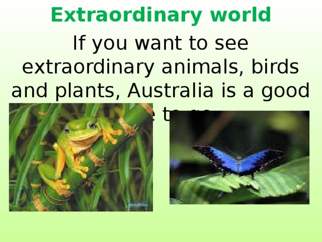 Extraordinary world If you want to see extraordinary animals, birds and plants, Australia is a good place to go. 