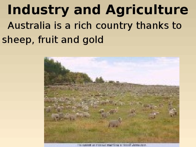 Industry and Agriculture Australia is a rich country thanks to sheep, fruit and gold 
