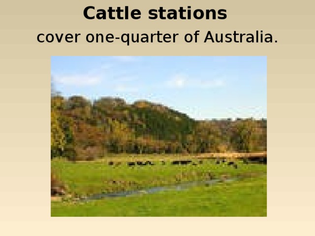 Cattle stations  cover one-quarter of Australia. 