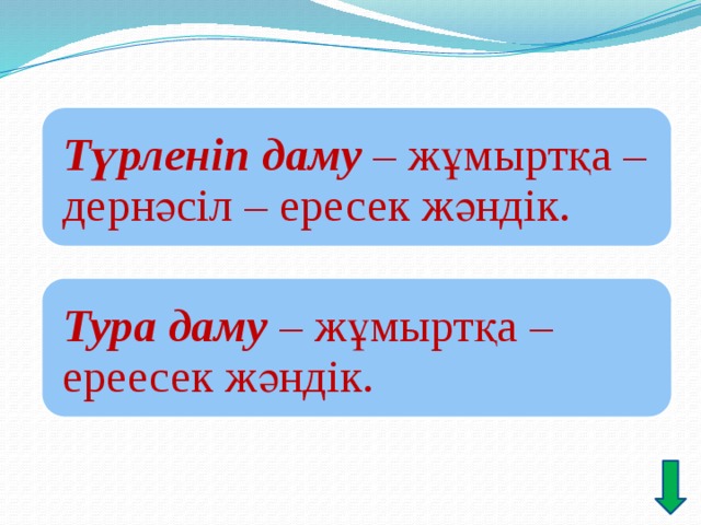 Жануарлардағы онтогенездің тура және жанама типтері презентация