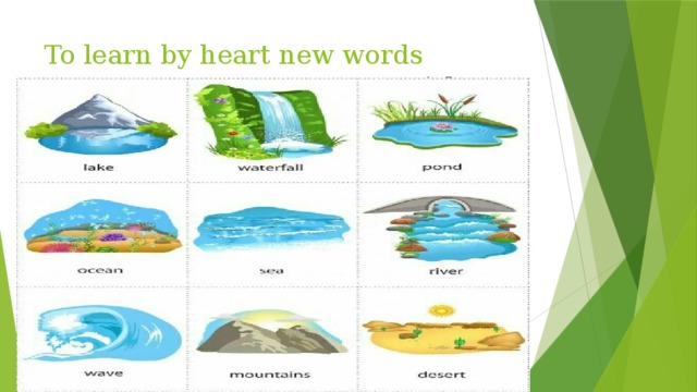 To learn by heart new words 