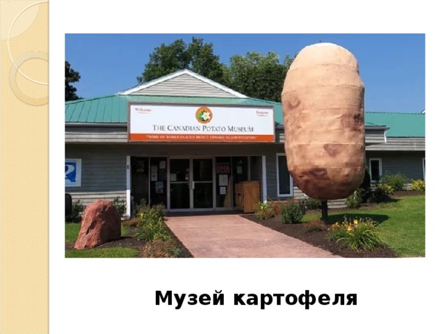 Музей картофеля 