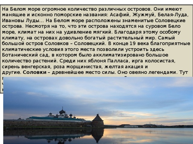 На Белом море огромное количество различных островов. Они имеют манящие и исконно поморские названия: Асафий, Жужмуй, Белая-Луда, Ивановы Луды… На Белом море расположены знаменитые Соловецкие острова. Несмотря на то, что эти острова находятся на суровом Бело море, климат на них на удивление мягкий. Благодаря этому особому климату, на островах довольно богатый растительный мир. Самый большой остров Соловков – Соловецкий. В конце 19 века благоприятные климатические условия этого места позволили устроить здесь Ботанический сад, в котором было акклиматизировано большое количество растений. Среди них яблоня Палласа, ирга колосистая, сирень венгерская, роза морщинистая, желтая акация и другие.  Соловки  – древнейшее место силы. Оно овеяно легендами. Тут место, где сама природа говорит с человеком. Даже не смотря на то, что Соловки находятся рядом с полярным кругом, летом стоит очень комфортная, а, иногда, и просто жаркая погода.  