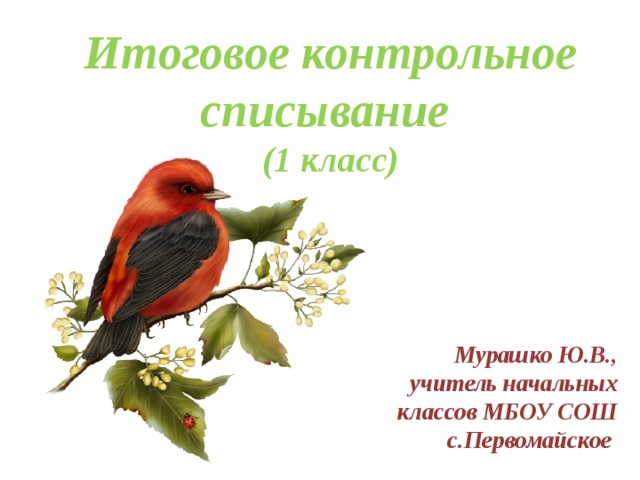 Итоговое контрольное списывание  (1 класс) Мурашко Ю.В., учитель начальных классов МБОУ СОШ с.Первомайское 