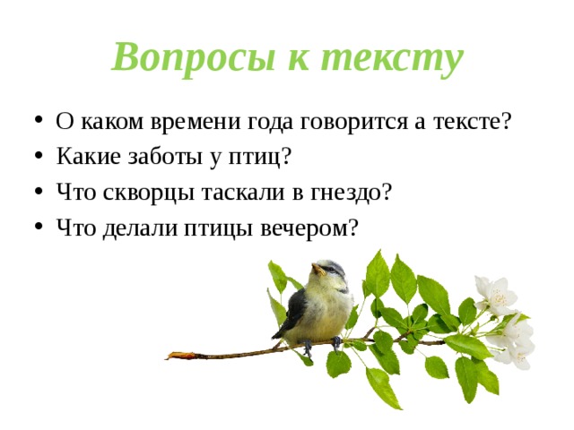 Скворец проверочное слово. Скворец проверочное слово 3 класс. Скворцы проверочное слово к нему 2 класс. Гнездо скворца проверочные слова.