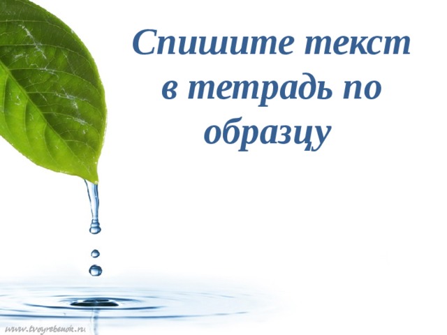 Спишите текст в тетрадь по образцу 