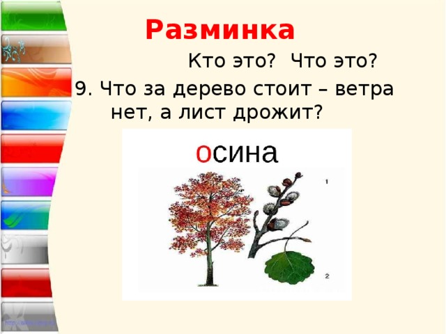 Разминка  Кто это? Что это? 9. Что за дерево стоит – ветра нет, а лист дрожит? 