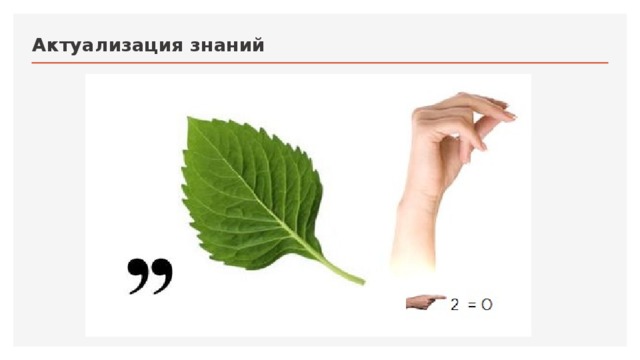 Актуализация знаний  