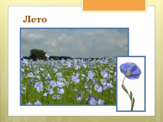 Лето 