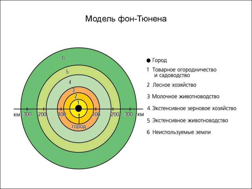 Элективный курс 