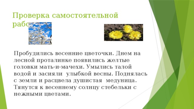 Проверка самостоятельной работы Пробудились весенние цветочки. Днем на лесной проталинке появились желтые головки мать-и-мачехи. Умылись талой водой и засияли улыбкой весны. Поднялась с земли и расцвела душистая медуница. Тянутся к весеннему солнцу стебельки с нежными цветами. 