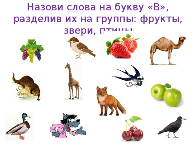 Назови слова на букву «В», разделив их на группы: фрукты, звери, птицы 