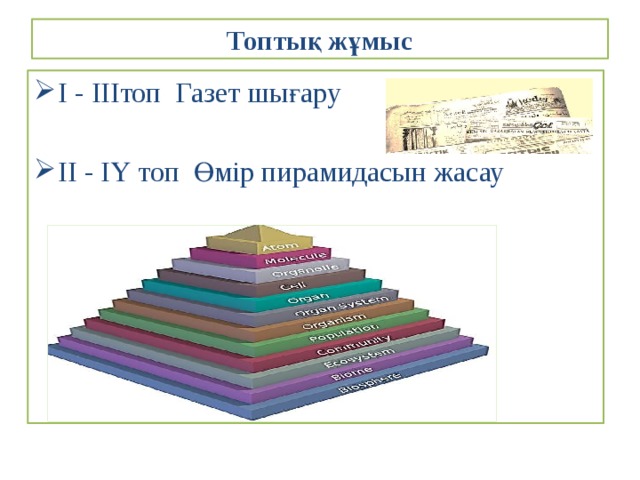 Топтық жұмыс І - ІІІтоп Газет шығару ІІ - ІҮ топ Өмір пирамидасын жасау 