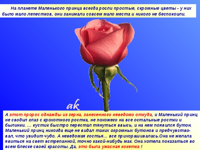 На планете Маленького принца всегда росли простые, скромные цветы - у них было мало лепестков, они занимали совсем мало места и никого не беспокоили.  А этот пророс однажды из зерна, занесенного неведомо откуда , и Маленький принц не сводил глаз с крохотного ростка, не похожего на все остальные ростки и былинки. … кустик быстро перестал тянуться ввысь, и на нем появился бутон. Маленький принц никогда еще не видал таких огромных бутонов и предчувство-вал, что увидит чудо. А неведомая гостья… все прихорашивалась.Она не желала явиться на свет встрепанной, точно какой-нибудь мак. Она хотела показаться во всем блеске своей красоты. Да, это была ужасная кокетка ! 09.04.18 Агафонова Е.Е.