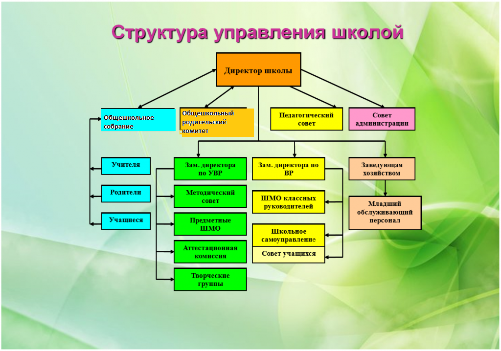 Какая из перечисленных организаций. Схема организационная структура учебного заведения школы. Структура и органы управления школой схема. Структура управления школой схема. Схема управления школы со структурными подразделениями.