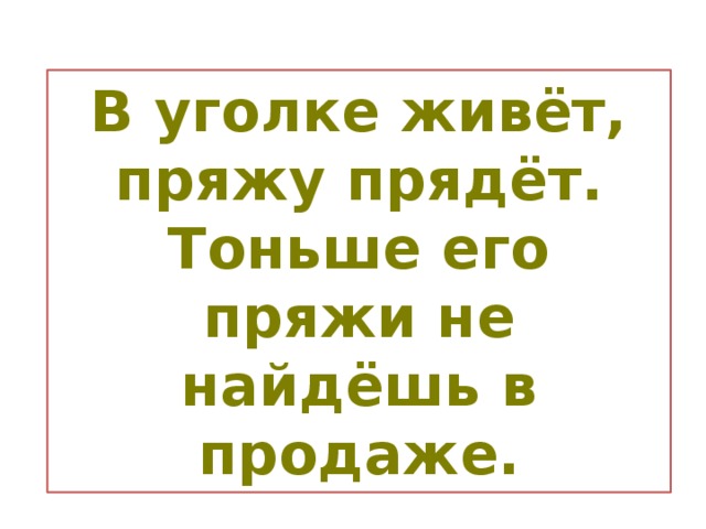 В уголке живёт, пряжу прядёт. Тоньше его пряжи не найдёшь в продаже.  
