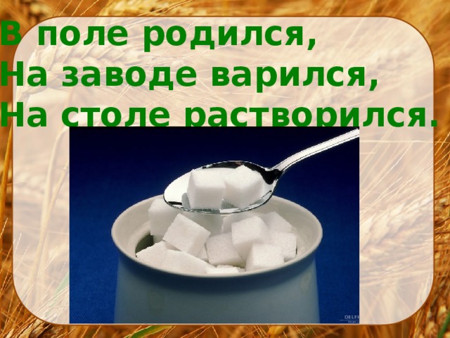 В поле родился на заводе варился на столе