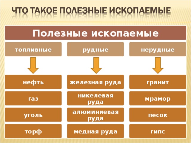 Заполните схему виды полезных ископаемых