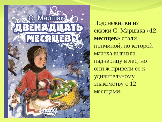 План двенадцать месяцев