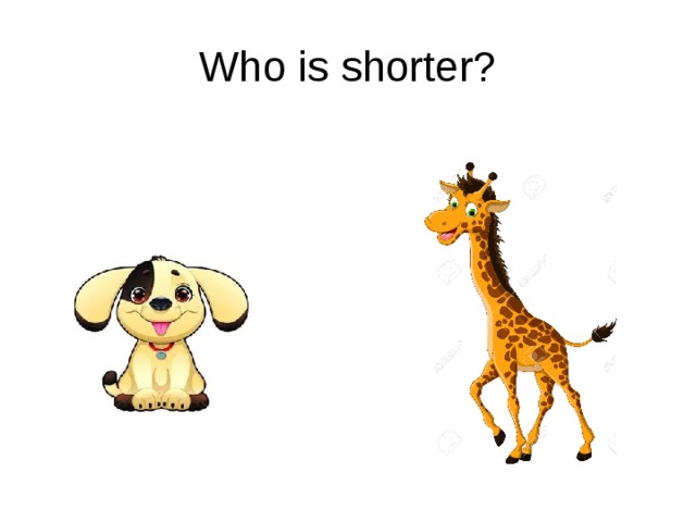 Who is shorter? 