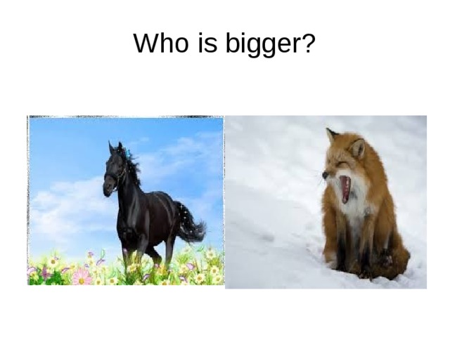 Who is bigger? 