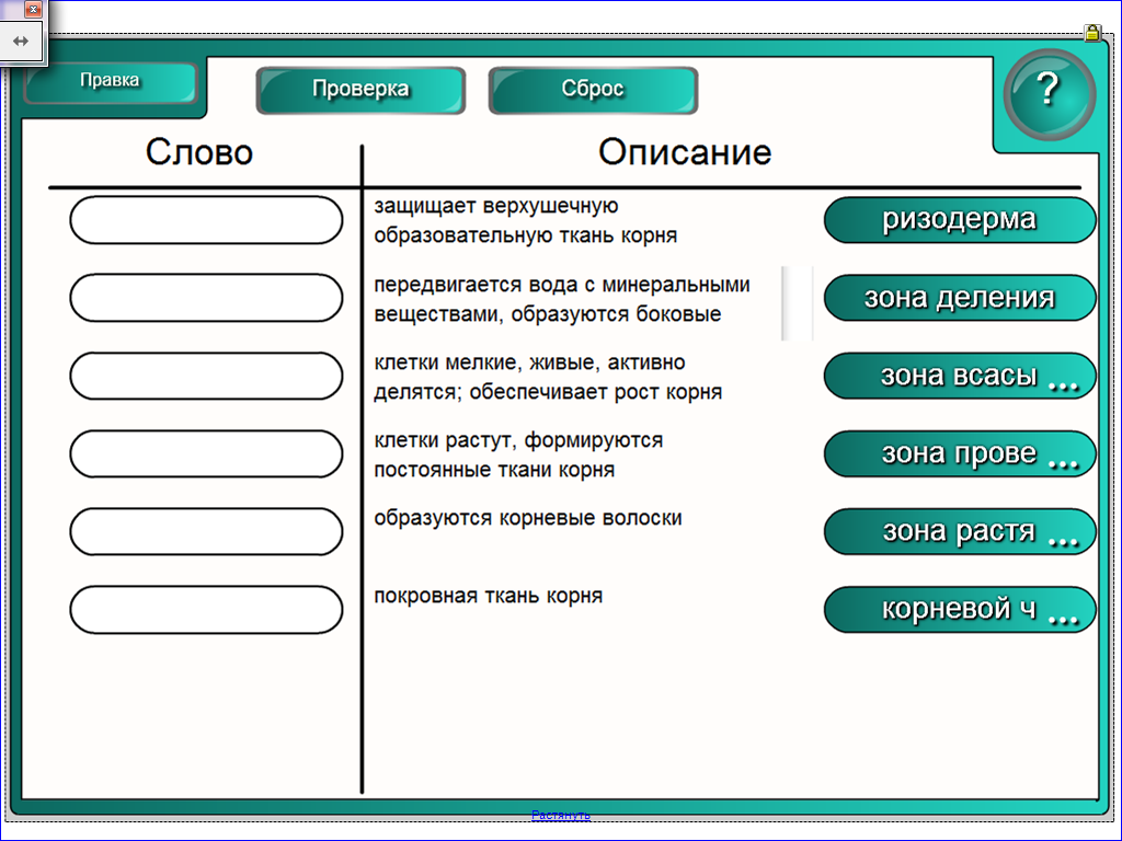 Образовался корень слова