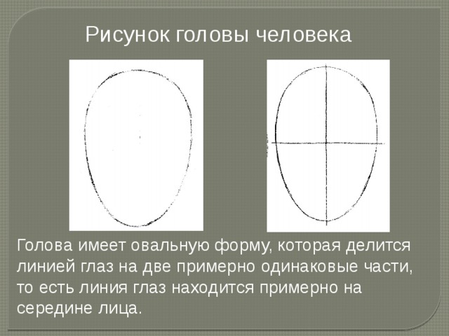 Какую форму имеет голова. Урок изо 6 класс пропорции головы человека. Конструкция головы и ее пропорции. Овальная форма головы пропорции. Конструкция головы человека и ее пропорции презентация.