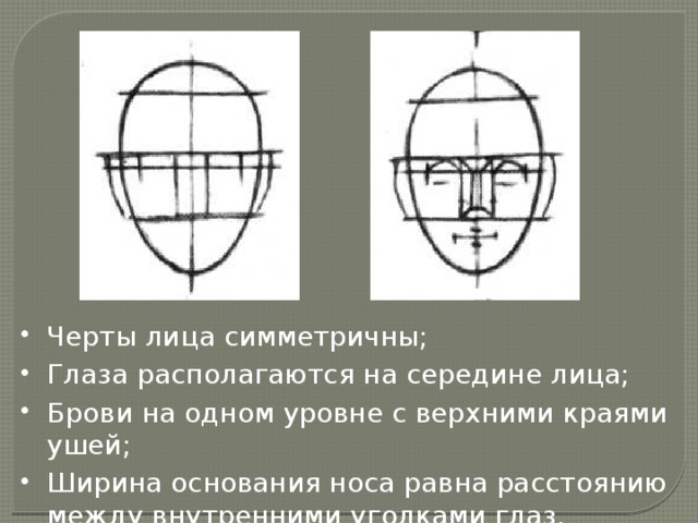 Эстетические пропорции лица презентация