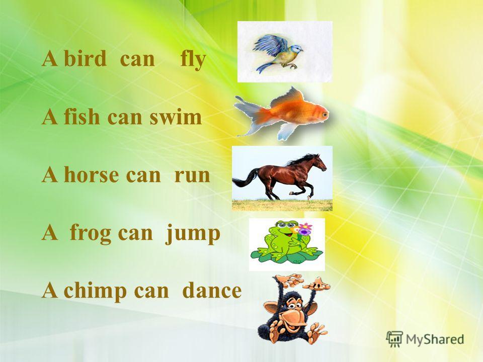 A bird can climb. Животные на английском языке. Животные на английском языке 2 класс. Английские слова животные. Урок английского языка 2 класс.