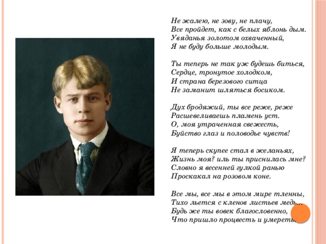 Ни зову ни плачу. Есенин не зову. Стих Сергея Есенина не жалею не зову не плачу. Есенин с белых яблонь дым.
