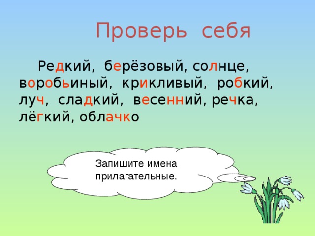 Проверь себя Ре д кий, б е рёзовый, со л нце, в о р о б ь иный, кр и кливый, ро б кий, лу ч , сла д кий, в е се нн ий, ре ч ка, лё г кий, обл ачк о Запишите имена прилагательные. 