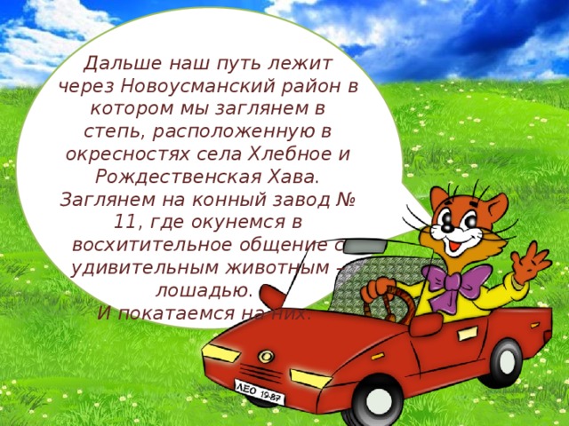 Дальше наш путь лежит через Новоусманский район в котором мы заглянем в степь, расположенную в окресностях села Хлебное и Рождественская Хава. Заглянем на конный завод № 11, где окунемся в восхитительное общение с удивительным животным – лошадью. И покатаемся на них. 